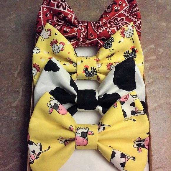 Other - Farmyard With Paisley Babies/Children Hair Bow Set